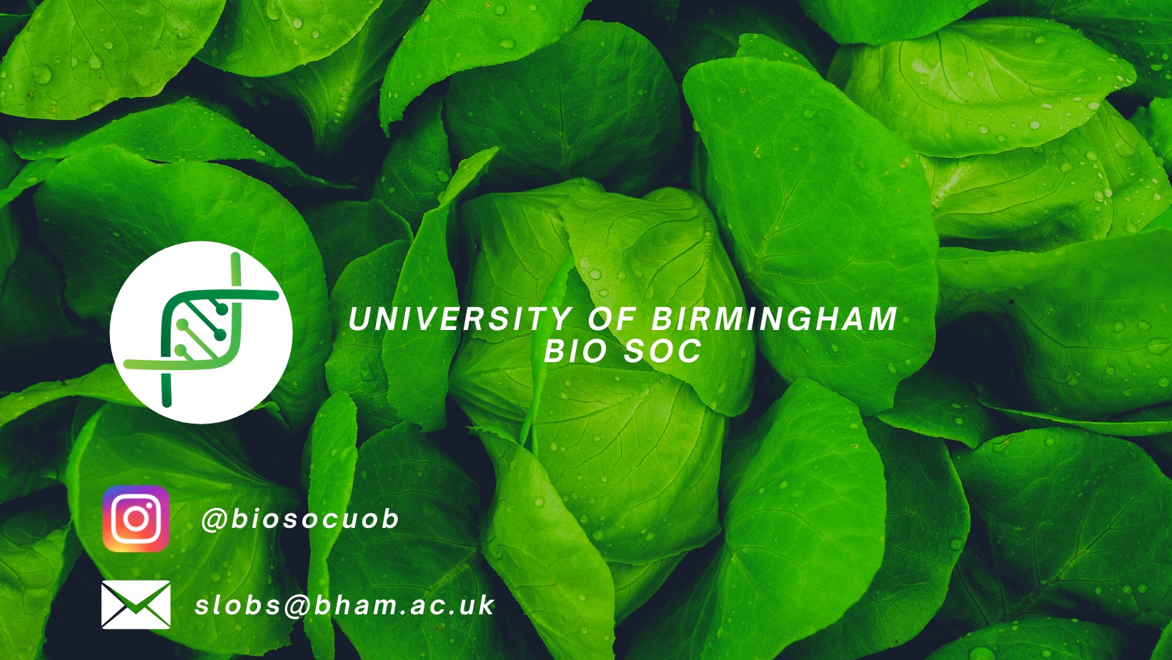 Banner for Birmingham Biology 