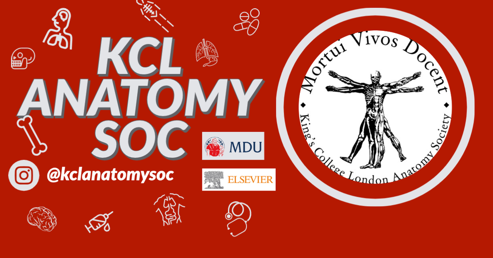Banner for Anatomy Society