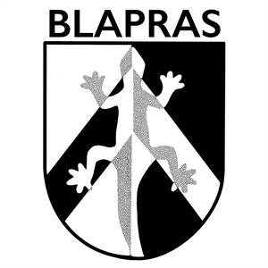 Logo of BL Plastic Surgery