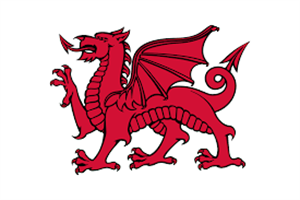 Logo of Welsh Society
