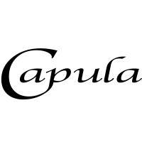 Logo of Capula Investment Management LLP