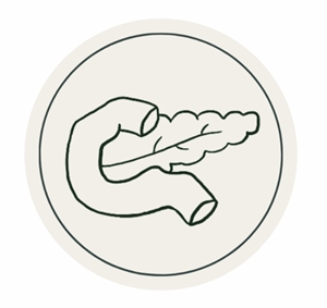 Logo of Endocrinology Society