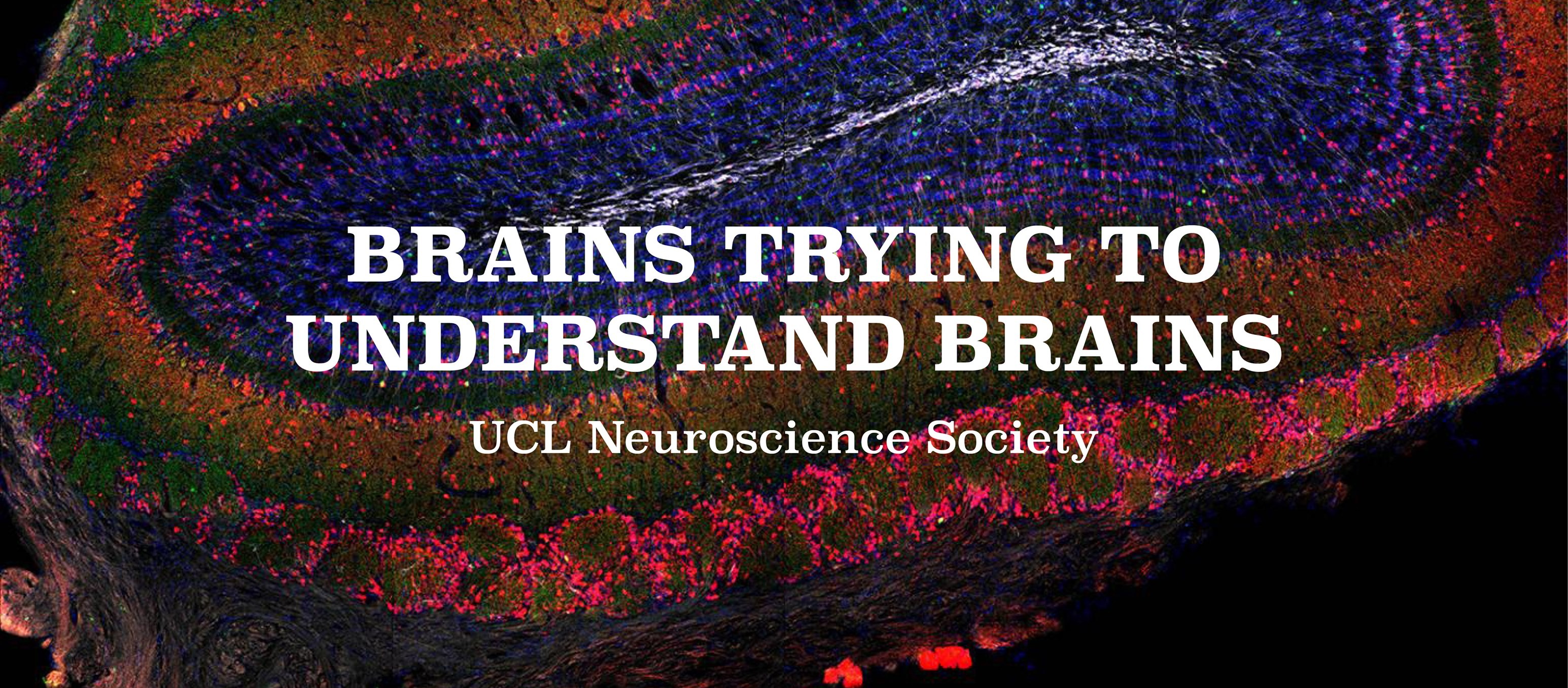 Banner for Neuroscience Society