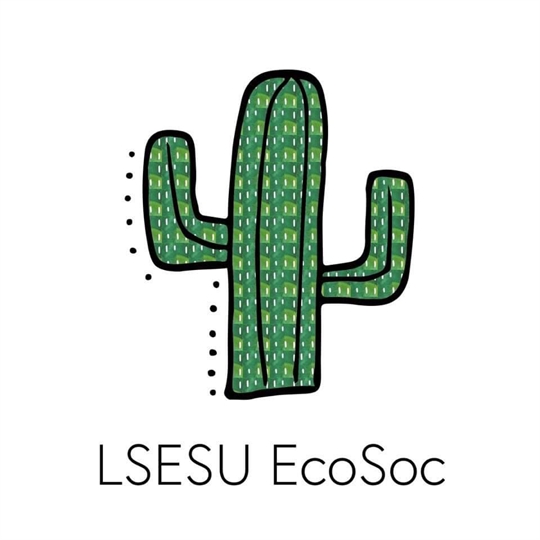 Logo of EcoSoc